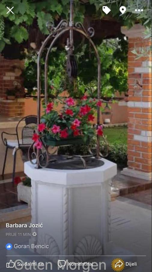 Apartma Barbara